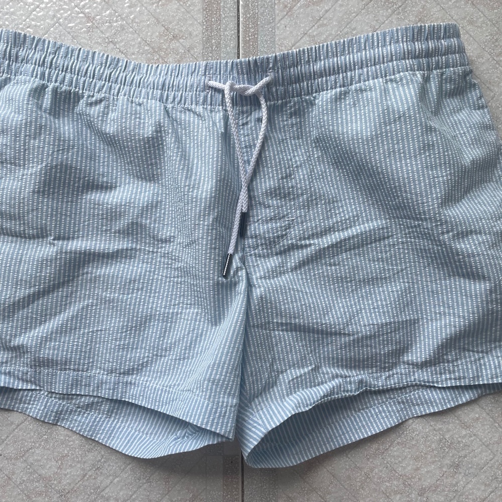 Club Monaco Swim Trunks